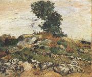 Vincent Van Gogh Rocks with Oak Trees (nn04) oil painting on canvas